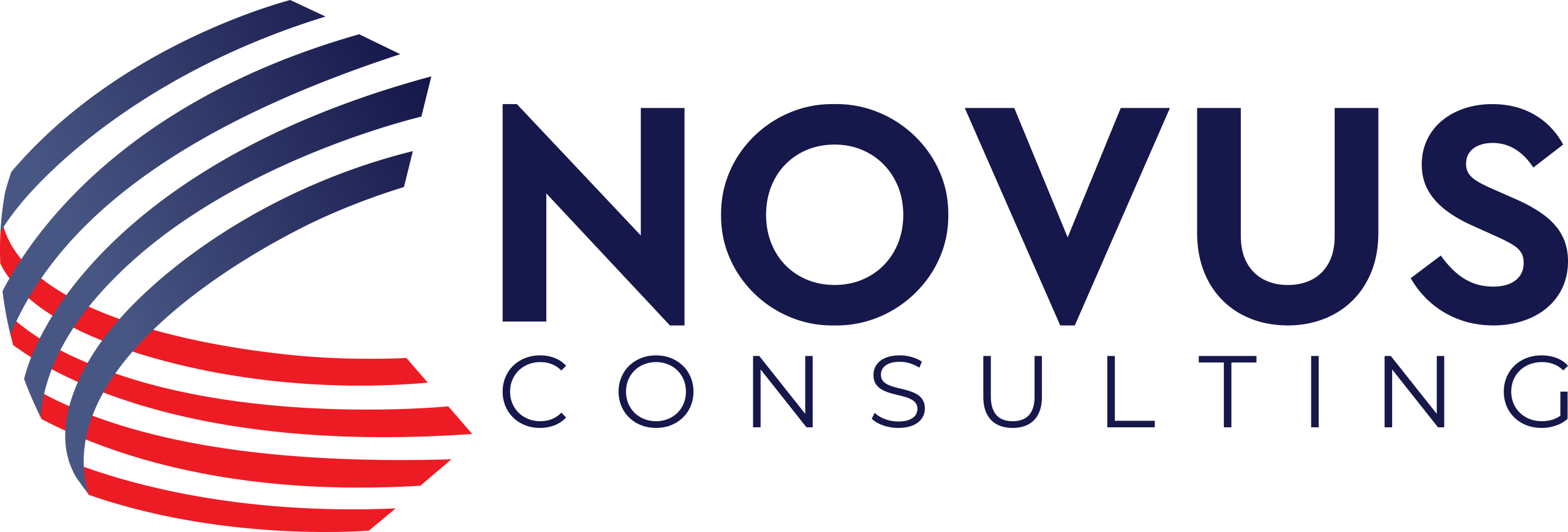 Novus Consulting logo